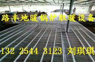 路豐豬舍取暖設(shè)備 專為豬舍采暖設(shè)計(jì)的高效地暖鍋爐，現(xiàn)貨批發(fā)選購指南